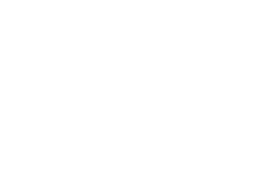 Peaceful-Hooligan-logo-brand