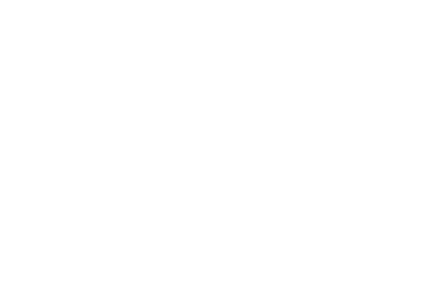 Stone-Island-logo-brand